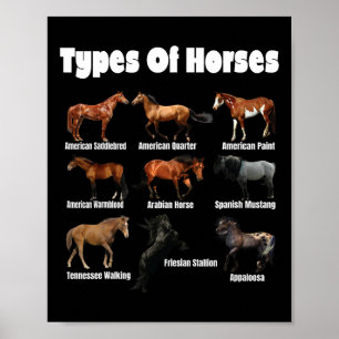 Póster Tipos De Caballos Retro Caballos Raza Vintage