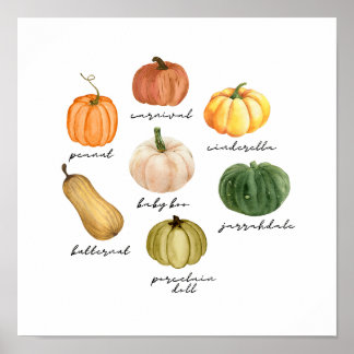 Póster tipos de calabazas