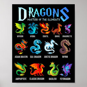 Póster tipos de dragones de fantasía dragones maestros de