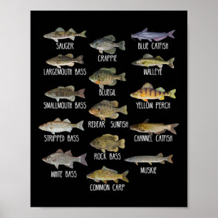 Póster Tipos de especies de peces de agua dulce Biología
