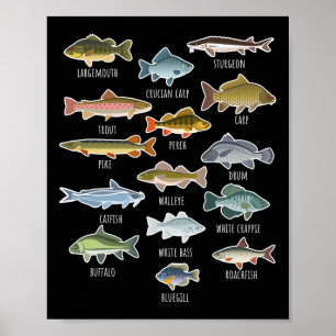 Póster Tipos de especies de peces de agua dulce Pesca 