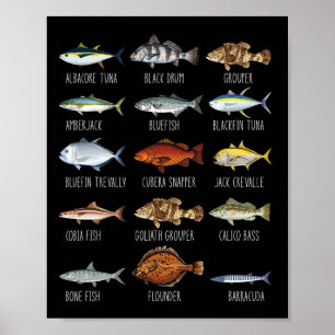 Póster Tipos de especies de peces de agua salada Biología