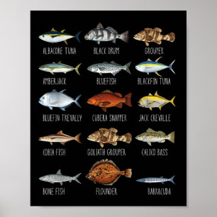 Póster Tipos De Especies De Peces De Agua Salada Biología