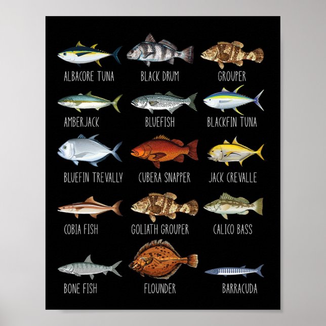 Póster Tipos De Especies De Pescado De Agua Salada Biolog (Frente)