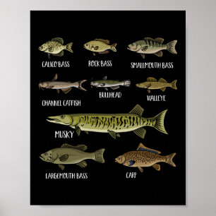 Póster Tipos de peces de agua dulce Clasificación Especie