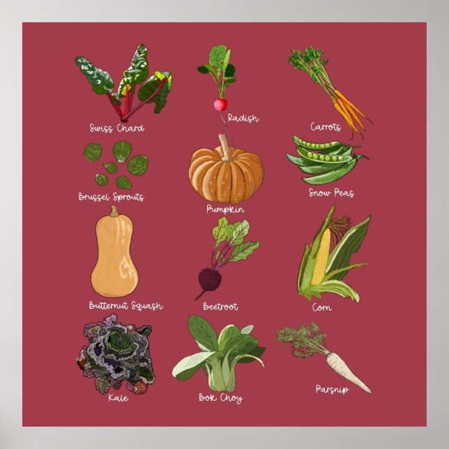 Póster Tipos de verduras otoñales cosecha vegetal de otoñ (Frente)