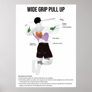Póster Tira y afloja - Ejercicio - Gráfica de anatomía mu