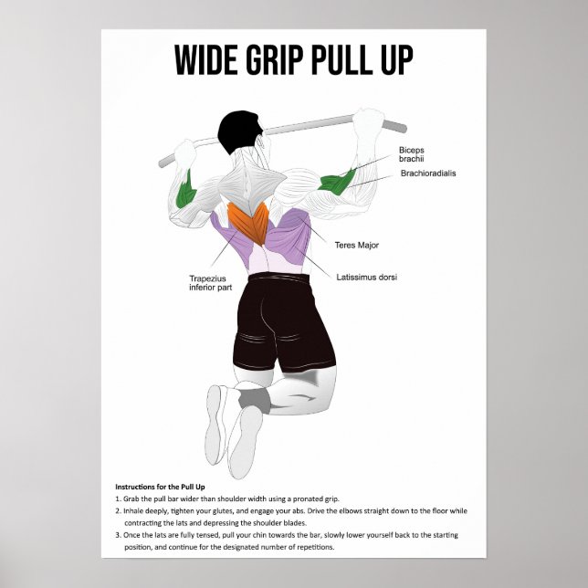 Póster Tira y afloja - Ejercicio - Gráfica de anatomía mu (Frente)