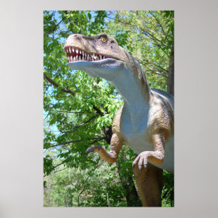 Póster Tirannosauro T-Rex Dinosaurio