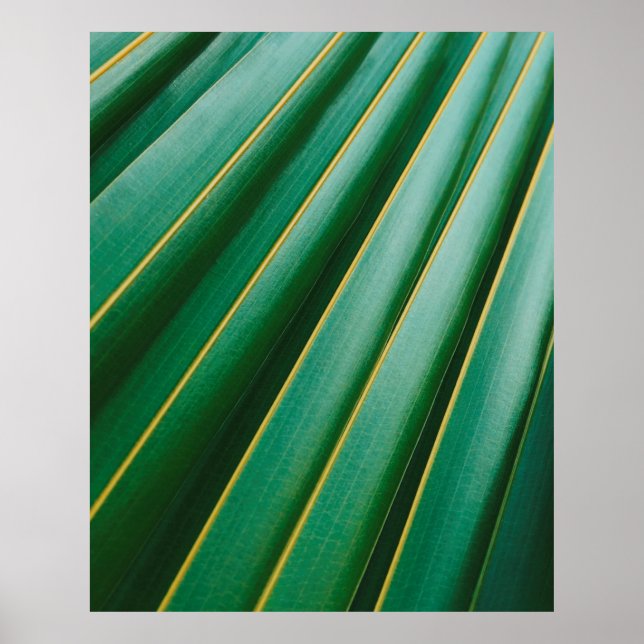 Póster Tiras de plantas de textura de hoja verde (Frente)