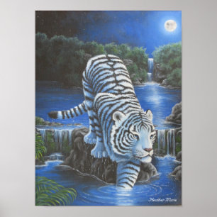 Póster Tirger blanco