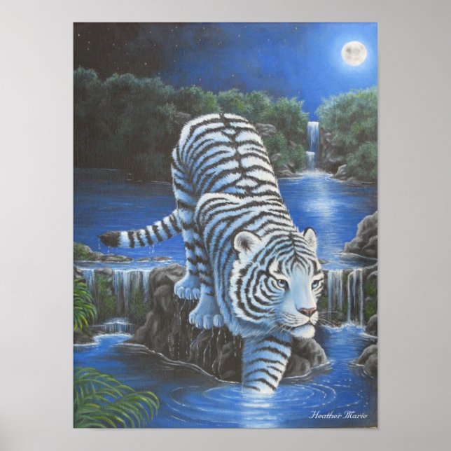 Póster Tirger blanco (Frente)