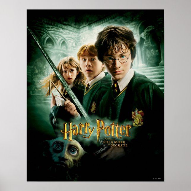 Póster Tiro de grupo de Harry Potter Ron Hermione Dobby (Frente)