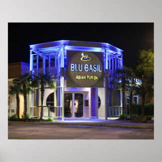 Póster Tiro nocturno de Blu Basil