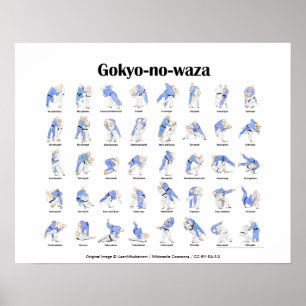 Póster Tiros de judo