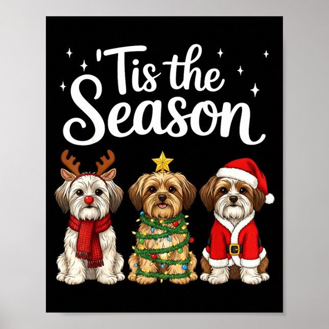 Póster Tis The Season Morkie Christmas Santa Dog Lover  (Frente)