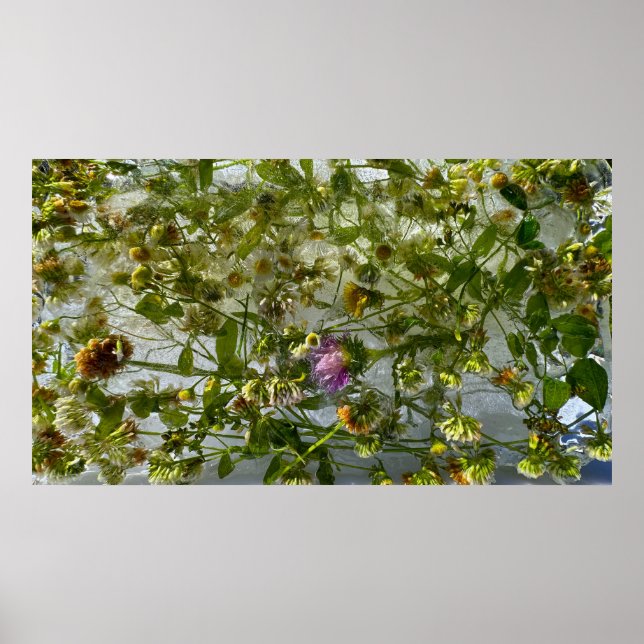 Póster Tístago y trébol picado, (Frente)