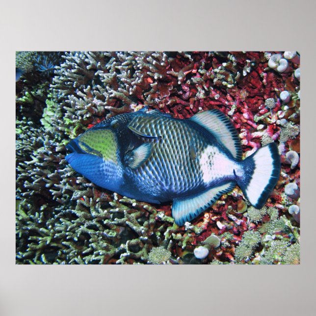 Póster Titan en deposición (Frente)