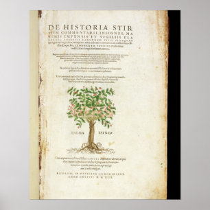 Póster Title page from 'De Historia Stirpium Commentarii