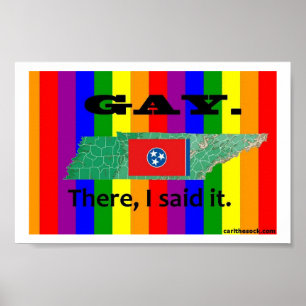 Póster TN gay poster