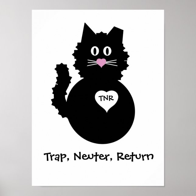 Póster TNR - Gatito difuso (Frente)