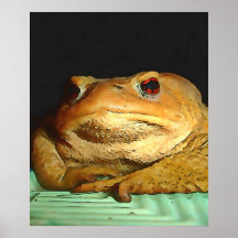 Toad con pintura filosófica de disposición