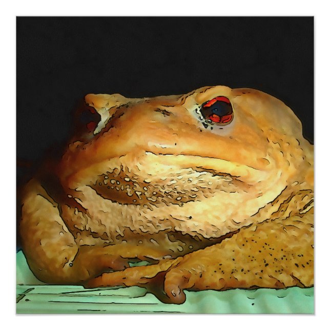 Póster Toad con pintura filosófica de disposición (Anverso)