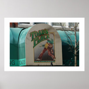 Póster Toads Place