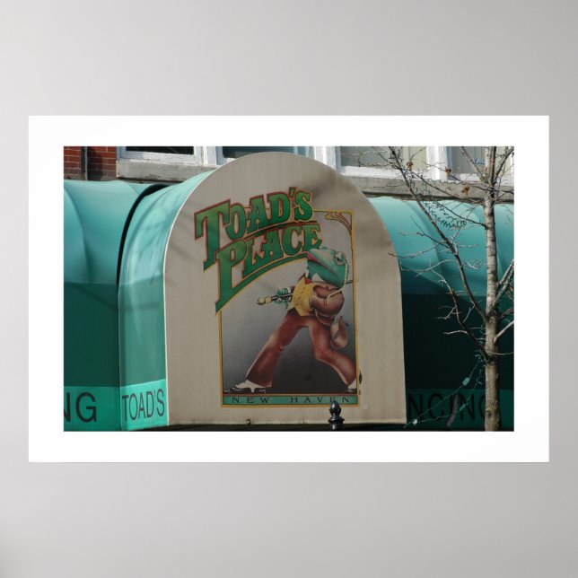 Póster Toads Place (Frente)