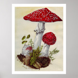 Póster Toadstool