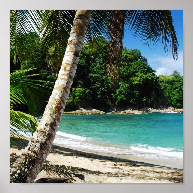 Póster Tobago - island paradise (Frente)