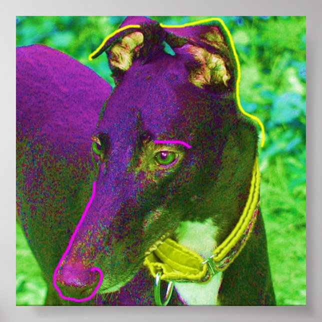 Póster Tobey (Frente)