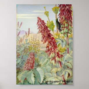 Póster Tócame no flores y azucareras, Tulbagh