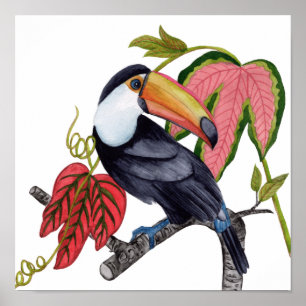 Póster Toco Toucan