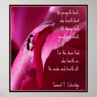 Póster Todas las criaturas grandes y pequeñas