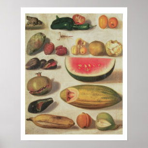 Póster Todavía la vida con fruta y sapo