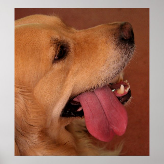 Póster Todavía Quiero Más... (Frente)