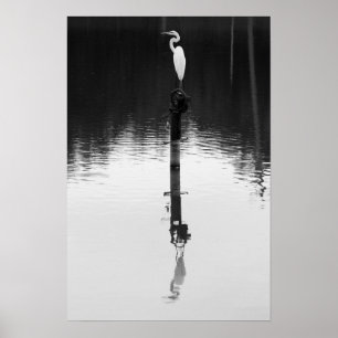 Póster Todavía reflexión