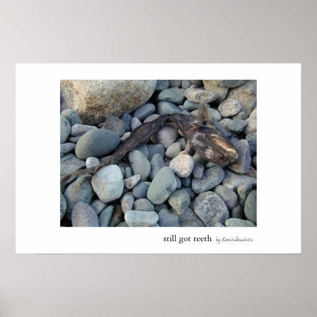 Póster Todavía tengo dientes (Frente)