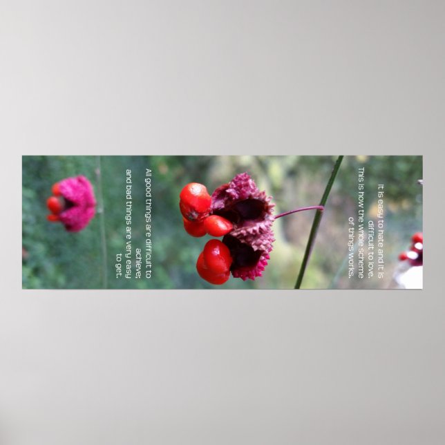 Póster Todo el esquema de las cosas (Frente)