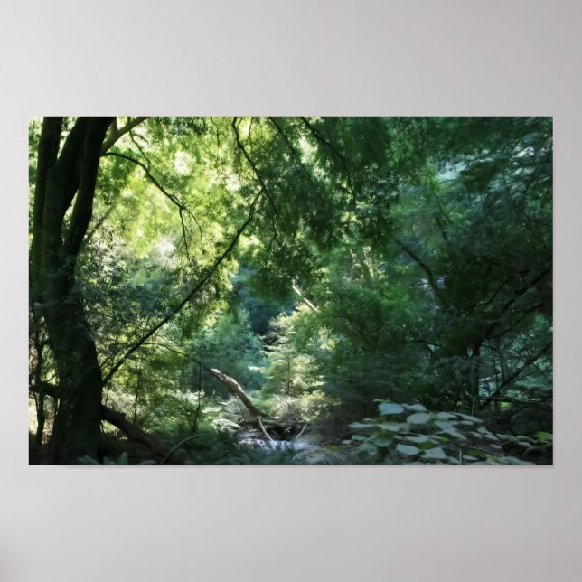 Póster Todo está tranquilo en Shadow Den, Muir Woods (Frente)