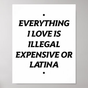 Póster Todo Lo Que Amo Es Ilegal Caro O Latina (