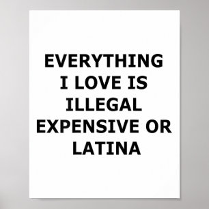 Póster Todo Lo Que Amo Es Ilegal Caro O Latina (