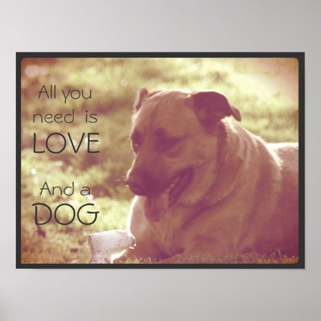 Póster Todo lo que necesitas es amor y un Poster de perro (Frente)