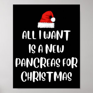 Póster Todo lo que quiero es un nuevo páncreas navidad di
