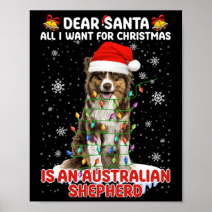Póster Todo Lo Que Quiero Para Los Navidades Es Que El Pa