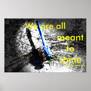 Póster Todos estamos hechos para brillar