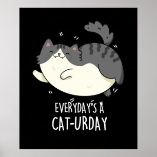 Póster Todos los días un gato divertido