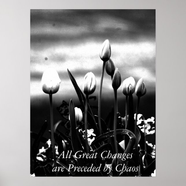 Póster Todos los grandes cambios Poster (Frente)