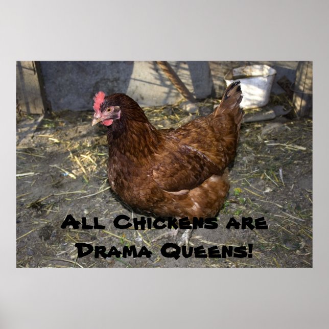 Póster ¡Todos los pollos son reinas dramáticas! (Frente)